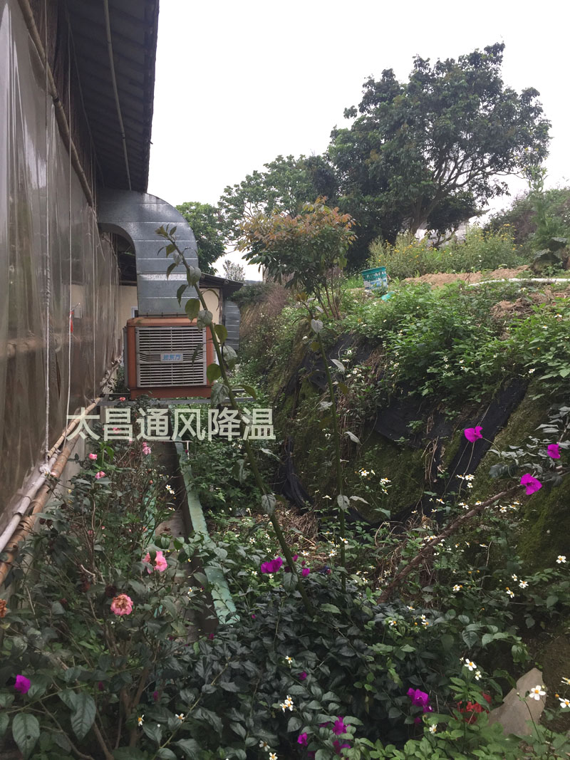 天氣太熱?環保空調為你的餐廳守護清涼